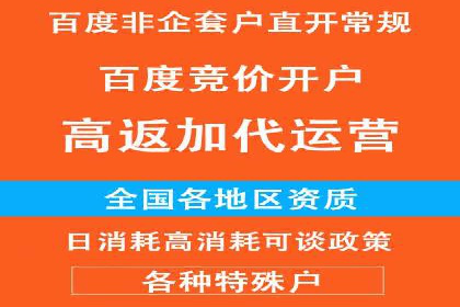 案例分析：百度推广成功案例解析